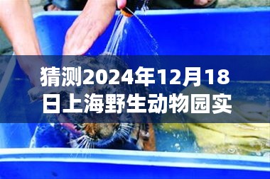 揭秘，2024年12月18日上海野生动物园天气预报深度解析与实时天气状况揭秘。