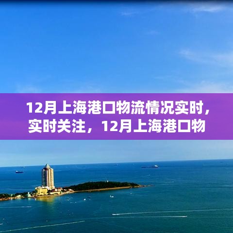 12月上海港口物流动态深度解析，实时关注与物流情况实时更新