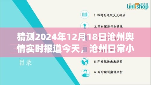 沧州温情脉脉日常小记，2024年12月18日舆情实时报道