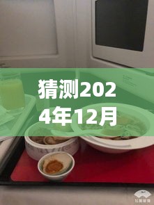 海南航空HU7916航班实时动态查询系统评测报告，以特定日期为例，探讨2024年12月18日的航班动态查询体验