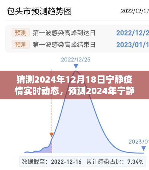 2024年宁静疫情实时动态预测，未来走向分析与应对策略探讨