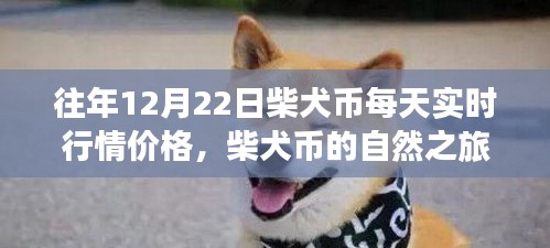 柴犬币行情追踪，心灵平静的货币之旅与美景奇谈揭秘