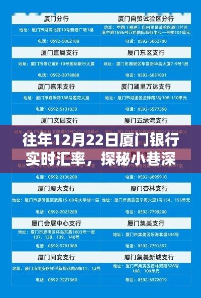 厦门银行实时汇率揭秘，小巷深处的汇率秘境与特色小店的奇遇之旅