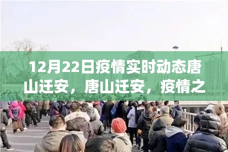 唐山迁安疫情下的自然之旅，寻找内心的宁静与平和实时动态报告