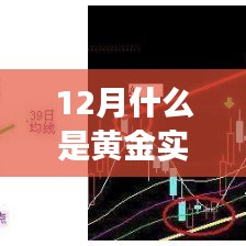 电缆支架 第185页