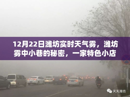 潍坊雾中小巷的特色小店奇遇，12月22日实时天气雾