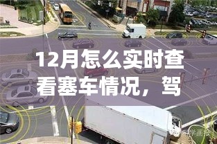 冬季实时塞车查看指南，驾驭路况变化，自信前行学习与成长之旅