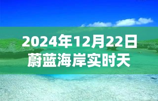 蔚蓝海岸冬日记忆，温馨时光与友情的共融