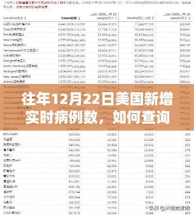 如何查询往年12月22日美国新增实时病例数，步骤详解及数据概览