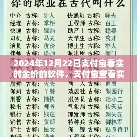 支付宝实时金价查看软件操作指南，初学者与进阶用户适用，2024年12月金价实时追踪软件教程