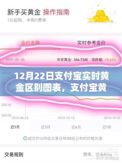 支付宝黄金图表解析，暖心日常与黄金之约的动态变化