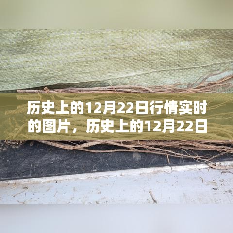 历史上的12月22日行情实时图片回顾与产品全面评测