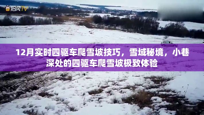 雪域秘境四驱车爬雪坡技巧，深度体验与极致挑战