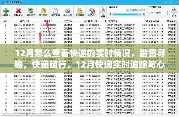 踏雪寻梅，快递随行，揭秘十二月快递实时追踪攻略与心灵之旅