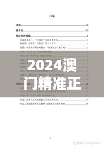 2024澳门精准正版免费005期（文献检索报告）