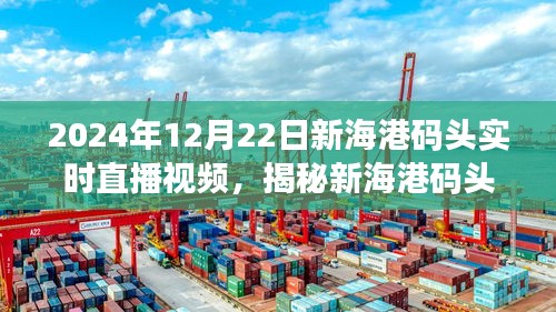 揭秘新海港码头美食宝藏，直播盛宴开启！2024年12月22日实时直播视频揭晓美食秘密！