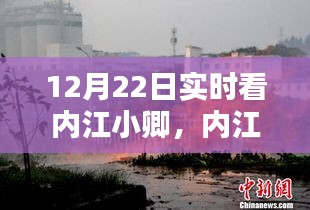 内江小卿实时动态聚焦，探寻地方魅力