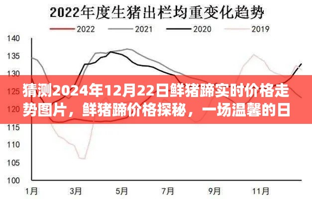 鲜猪蹄价格走势预测，探秘未来日常时光中的价格探秘与温馨时光之旅