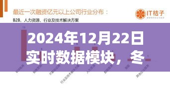 冬日暖阳下的数据奇遇，2024年12月22日实时数据模块的故事与数据温馨分享