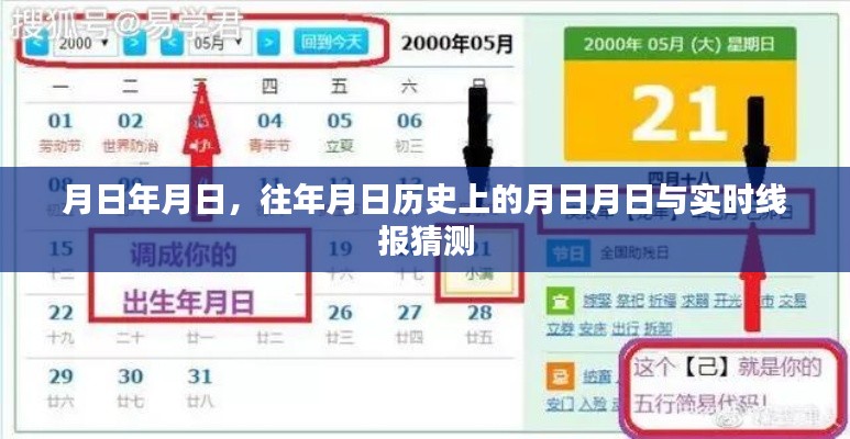 历史月日月日揭秘，时事分析与预测