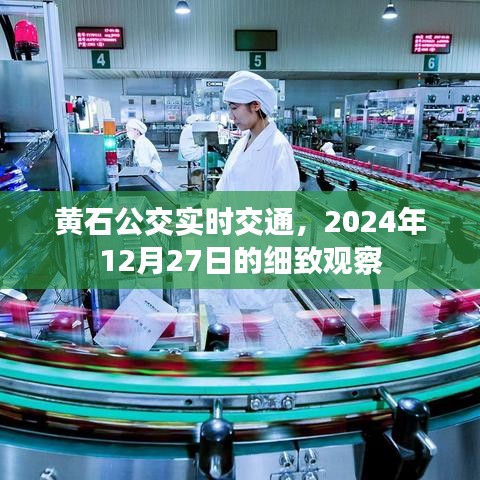 黄石公交实时交通观察，细致洞察，2024年12月27日当日情况