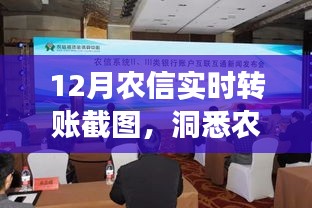 农信实时转账截图揭示农村金融市场新动态