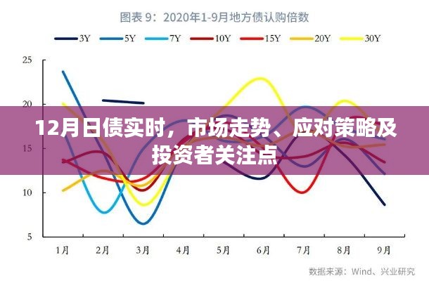 打张鸡儿 第3页