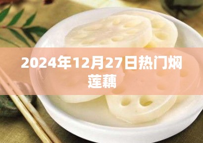 2024年12月27日焖莲藕食谱流行风潮