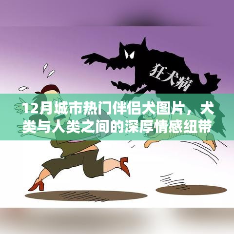 12月城市热门伴侣犬图片，犬与人的情感纽带