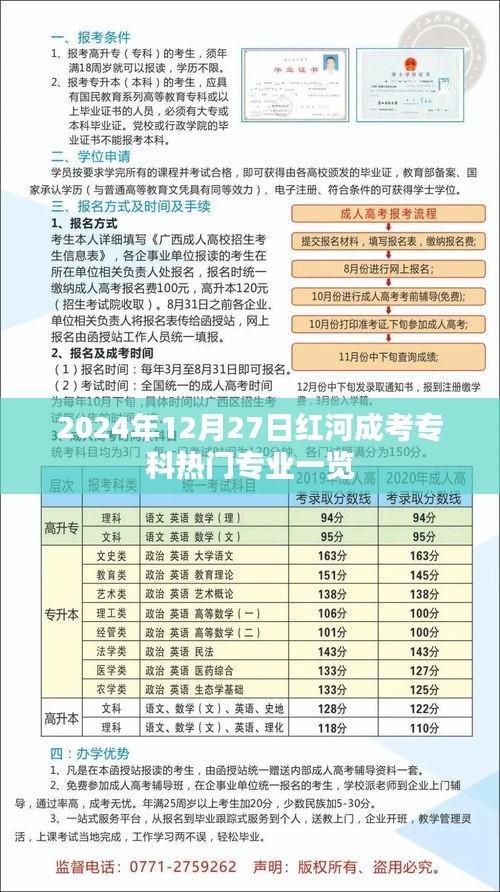 红河成考专科热门专业概览（2024年12月）