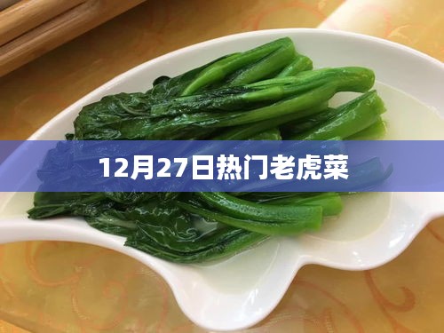 12月27日热门老虎菜做法与赏析