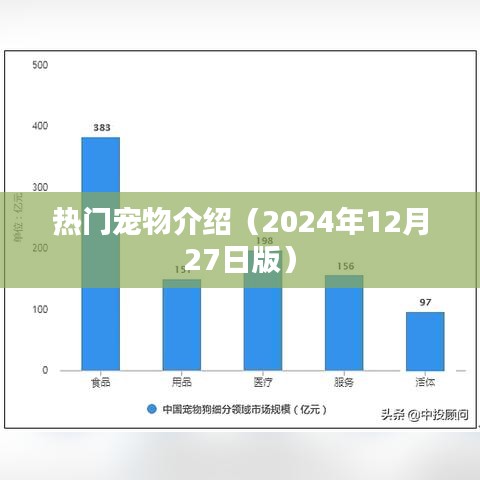 热门宠物概览（最新介绍版）