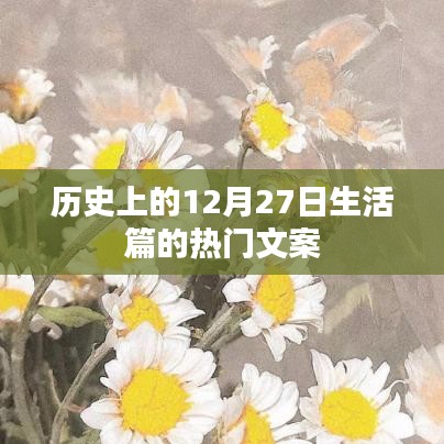 电缆支架 第167页