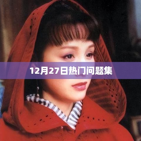 12月27日热点问答大汇总