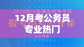 12月公务员考试热门专业解析