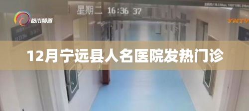 宁远县人民医院发热门诊12月情况概览