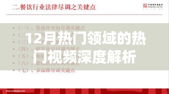 热门领域热门视频深度解析，揭秘十二月热点