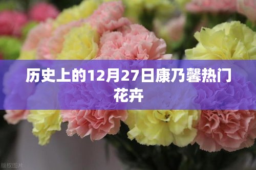 康乃馨热门花卉，历史上的12月27日回顾