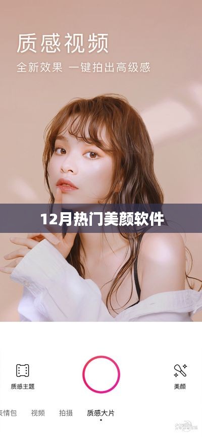 12月美颜软件热门榜单