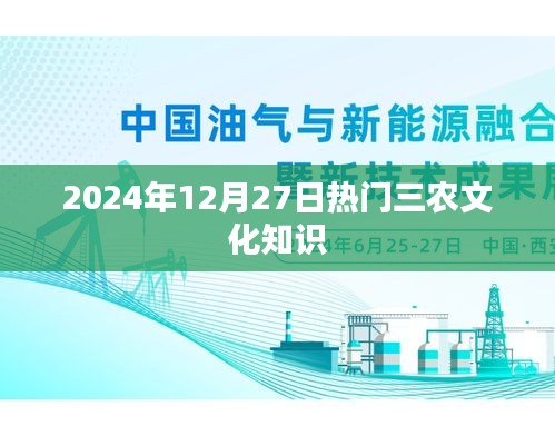 2024年12月三农知识热点解读