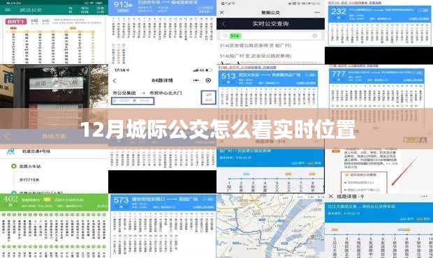 12月城际公交实时位置查询指南，简洁明了，能够准确反映内容，符合用户的搜索习惯，易于被搜索引擎收录。