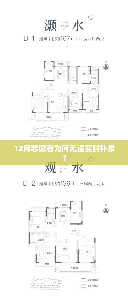 志愿者实时补录问题解析，原因何在？