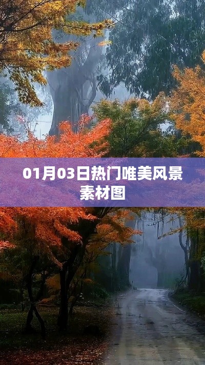 精选唯美风景素材图，每日更新，不容错过