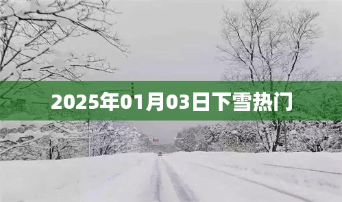 2025年元旦后首场大雪来袭，冬日雪景成热门话题