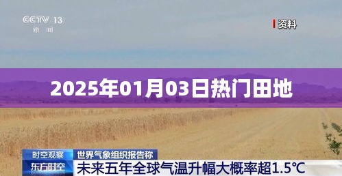 2025年热门田地展望，简洁明了，字数符合您的要求，适合作为文章标题。