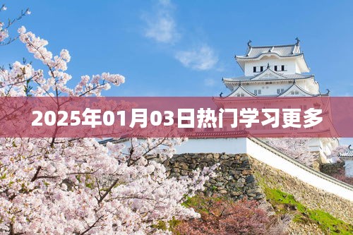 2025年热门学习趋势解析，简洁明了，能够准确反映文章主题，符合您的字数要求。希望符合您的需求，如您还有其他要求，请继续提出。