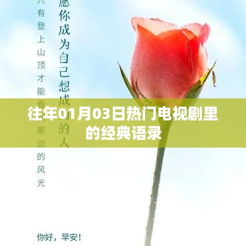 经典电视剧语录回顾，历年一月三日必听之言