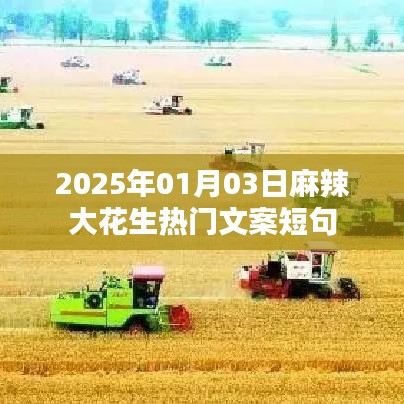 2025年麻辣大花生热门文案短句，每日更新