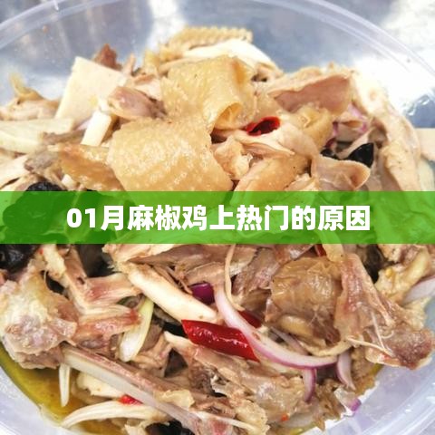 揭秘，为何麻椒鸡在01月成为热门美食？