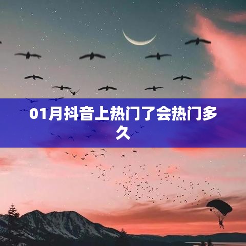 抖音热门持续时长解析，一月热门能维持多久？